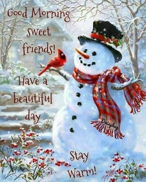 Christmas Morning Quotes, Christmas Greetings Quotes, Good Morning Christmas, Good Morning Winter, Day Pictures, Funny Good Morning Quotes, Good Morning Prayer, Cute Good Morning Quotes, Good Morning Funny