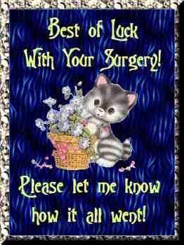 Good Luck On Your Operation, Good Luck With Your Surgery, Recovery Messages, Surgery Quotes, Get Well Soon Quotes, Get Well Soon Messages, Cat Heaven, Morning Cat, Get Well Wishes