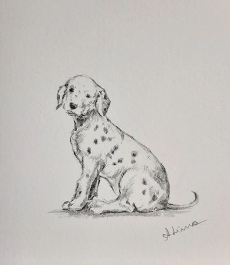 Dalmatian Drawing Sketch, Dalmatian Puppy Drawing, Dalmation Drawing, Puppy Drawing Sketches, Dalmatian Sketch, Dog Drawing Sketches, Dalmatian Drawing, Dalmatian Illustration, Drawing Of A Dog