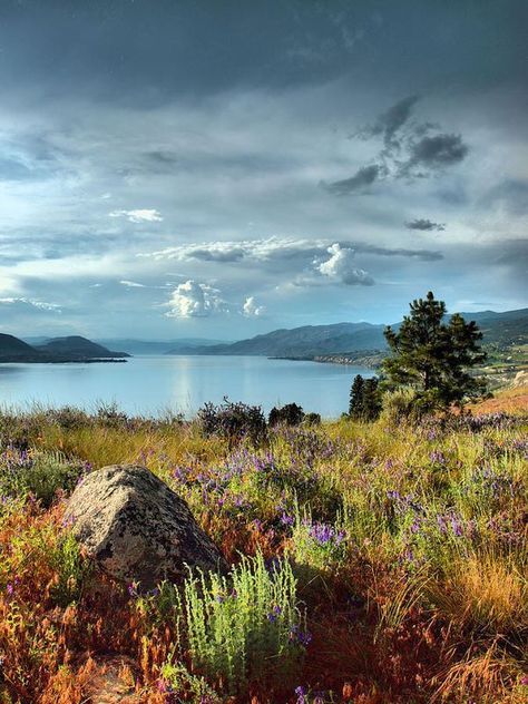 Canadian Landscapes | Okanagan Lake in the spring taken from the KVR Trail | Facebook Penticton Bc, House Paintings, Okanagan Lake, Painting Reference, Beautiful Canada, Okanagan Valley, Photo Board, O Canada, Western Canada