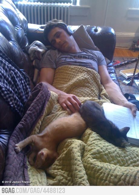 Just James Franco sleeping with his cats. ♥♥♥ Franco Brothers, Men With Cats, Jonathan Rhys Meyers, Joseph Gordon Levitt, Evan Rachel Wood, Game Mode, Macklemore, Travis Fimmel, Chris Colfer