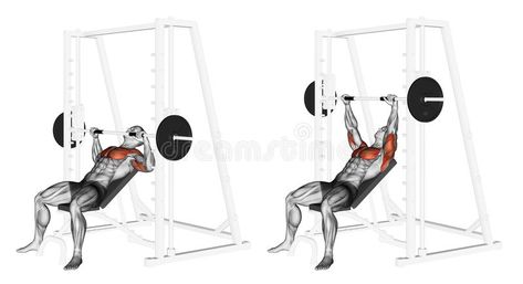 Exercising. Incline Smith Machine Bench Press stock illustration Smith Machine Workout, Bench Press Workout, Push Workout, Weight Training Programs, Flat Stomach Workout, Incline Bench, Rear Delt, Smith Machine, Abs And Cardio Workout