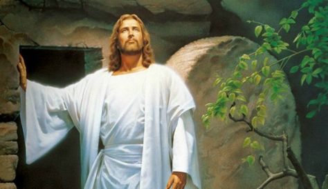 Jesus 'Walking Dead' Parody Tests Christian Tolerance Risen Lord, Jesus Is Risen, Pictures Of Christ, Christ Is Risen, Matthew 28, Jesus Resurrection, He Is Risen, Son Of God, Jesus Loves Me