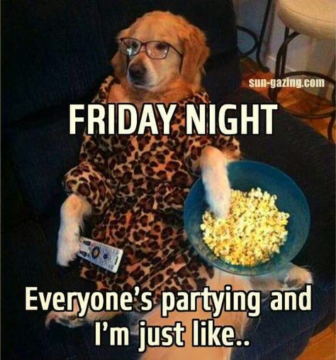 Friday Nights At Home Quotes, Friday Night Quotes Humor, Friday Movie Quotes Funny, Friday Night Humor, Funny Coffee Quotes Mornings, Friday Movie Quotes, Friday Night Quotes, Late Night Quotes, Coffee Quotes Morning