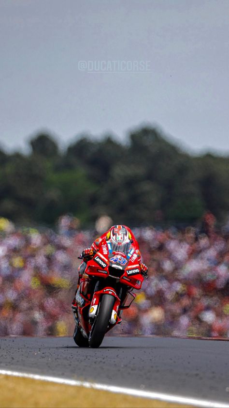 Jack Miller Motogp, Superbike Racing, Super Human, Motorcycle Racing, Moto Gp, Motogp, Ducati, Grand Prix, Motorsport