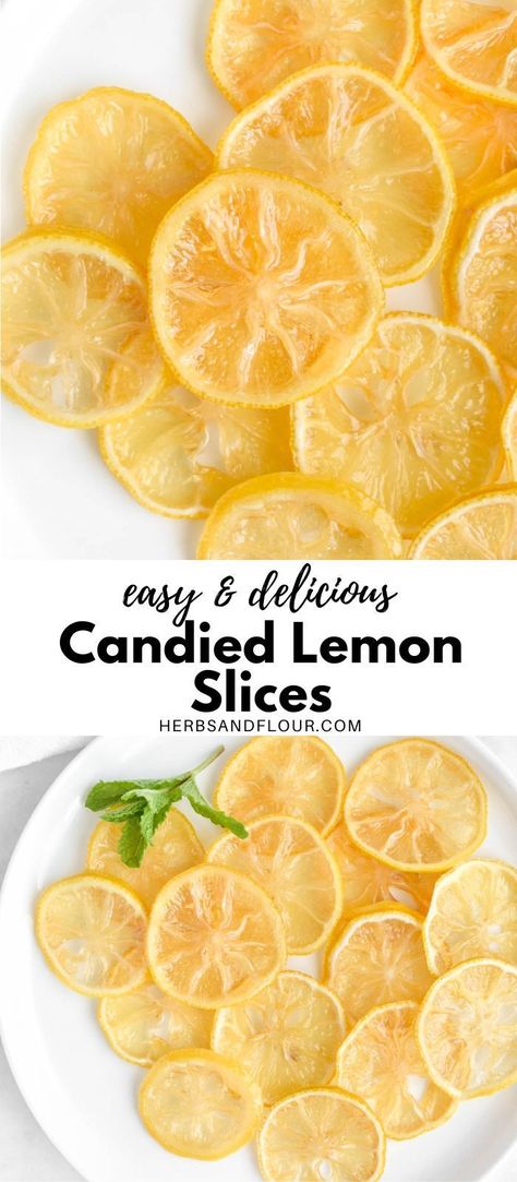 Candied Lemon Slices, Lemon Water Health Benefits, Lemon Juice Benefits, Candied Lemon Peel, Hot Lemon Water, Lemon Health Benefits, Lemon Water Benefits, Candied Lemons, Lemon Dessert Recipes