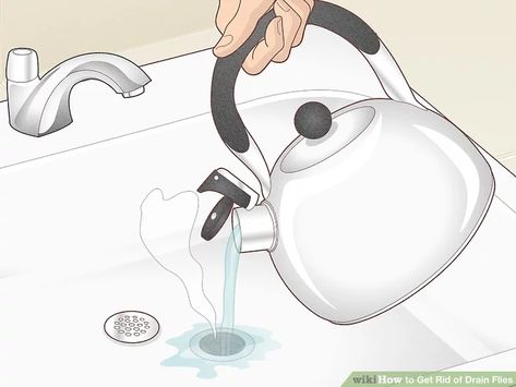 4 Ways to Get Rid of Drain Flies - wikiHow How To Get Rid Of Knats In The Sink, How To Get Rid Of Nats In The Drain, Fruit Fly Drain Cleaner, Fruit Flys How To Get Rid Of In Drain, Knats Killer Diy Drain, How To Get Rid Of Drain Flies In House, How To Get Rid Of Gnats In Sink Drain, How To Get Rid Of Drain Gnats, How To Get Rid Of Fruit Flies In Drain