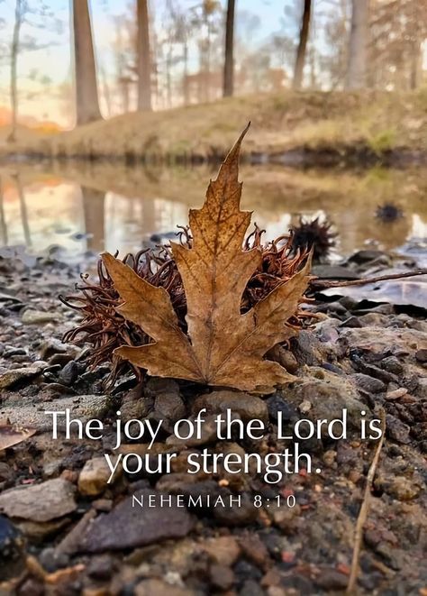 The Joy Of The Lord, Scripture Wallpaper, Gods Girl, Joy Of The Lord, Encouraging Scripture, Prayer Verses, How He Loves Us, Prayer Scriptures, Bible Verses Quotes Inspirational