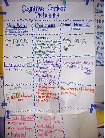 Cognitive Content Dictionary Eld Strategies, Glad Strategies, Ell Strategies, Information Writing, Teaching High School English, 7th Grade Science, 4th Grade Writing, Classroom Strategies, Language Acquisition