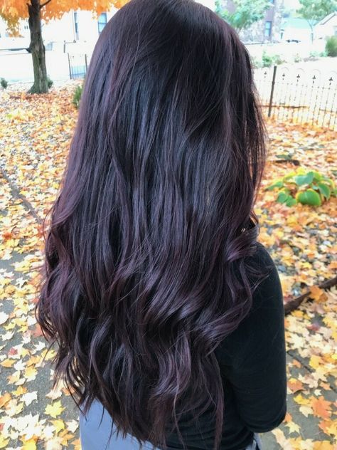 Burgundy Fall Hair, Violet Black Hair, Dark Violet Hair, Blackberry Hair Colour, Deep Burgundy Hair, Deep Purple Hair, Purple Black Hair, Burgundy Brown Hair, Purple Brown Hair