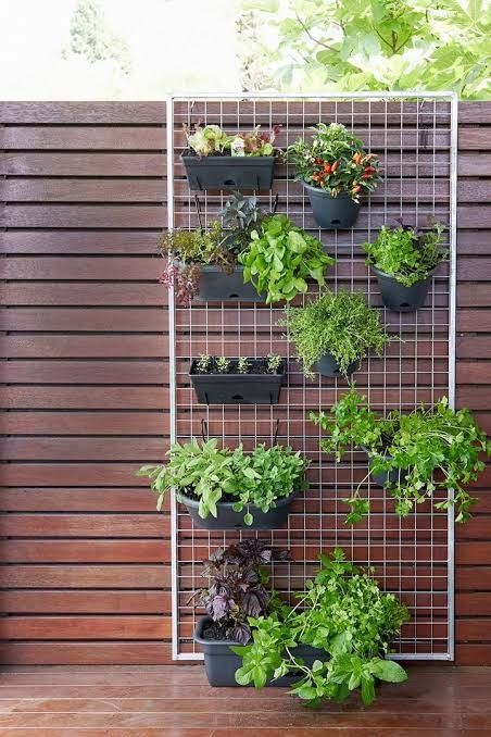 Herb Wall Outdoor, Side Path, Vertical Herb Gardens, Herb Garden Wall, Vertikal Garden, Vertical Vegetable Gardens, Small Herb Gardens, Outdoor Herb Garden, Garden Wall Designs