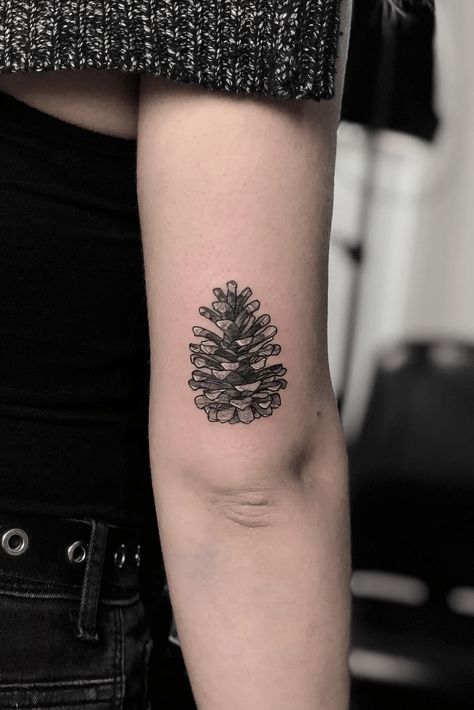 Tattoodo Pine Cone Tattoo Design, Pine One Tattoos, Pine Cone Tattoos, White Pine Cone Tattoo, Pine Tattoo Branch, Larch Tree Tattoo, Red Pine Tree Tattoo, Lodgepole Pine Tattoo, Scots Pine Tattoo