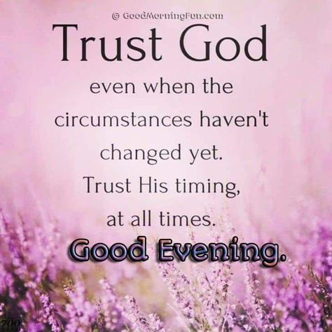 Trust God and his timing - Good Evening Good Evening Inspirational Quotes, Good Evening Scripture Blessings, Evening Greetings Quotes, Evening Blessings Quotes Faith, Evening Blessings Quotes, Blessed Evening Quotes, Evening Inspirational Quotes, Good Evening Quotes Inspirational, Good Evening Images Beautiful