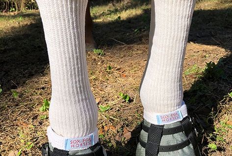 Fighting equine pastern dermatitis, mud fever or mud rash, dew poisoning or greasy heel is frustrating in any season but winter makes it especially hard. Horse Health, Health Matters, Leg Warmers, Socks, Horses, Heels, Health