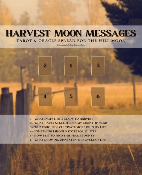 Full Moon Tarot, Oracle Card Spreads, Goddess Magick, Tarot Reading Spreads, Tarot Card Spreads, Tarot Tips, Tarot Spread, Summer Harvest, Magick Book