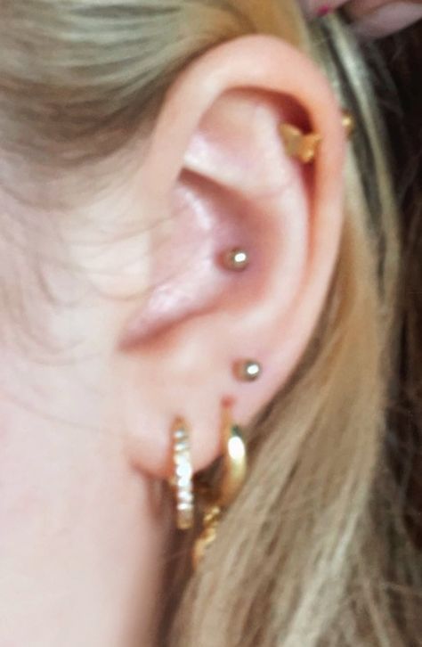 Ear stack, earrings, jewellery, conch, lobes, helix, piercing healing, #piercing #conch #helixpiercing #stackedlobes #jewllery #earrings https://www.amazon.co.uk/gp/search?ie=UTF8&tag=kentd-21&linkCode=ur2&linkId=e58baacba54c9289d965159a5ba3ed7f&camp=1634&creative=6738&index=jewelry&keywords=Earrings Helix And Conch Piercing, Piercing Healing, Auricle Piercing, Stack Earrings, Piercing Conch, Lobe Piercing, Ear Stack, Conch Piercing, Jewellery Store