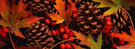 Beautiful Autumn Pineals Leaves and Berries Facebook cover Fabulous Fall, Autumn Beauty, Fall Pictures, Facebook Cover Photos, Fall Favorites, Fall Wallpaper, Fall Design, Red Berries, Fall Foliage