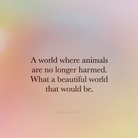 Saving Animals Quotes, Animal Welfare Quotes, I Like Animals More Than People Quotes, Quotes About Animals, Animal Lover Quotes, Environment Quotes, Animals Quotes, Vegan Facts, Vegan Vibes