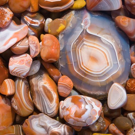 Lake Superior Agates Minnesota, Agates Lake Superior, Agate Tattoo, Agate Hunting, Polish Rocks, How To Polish Rocks, North Shore Minnesota, Minnesota Lakes, Journal 2023