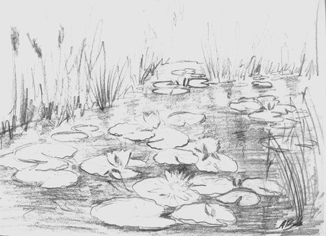 How To Draw Water Lilies, Water Lilies Sketch, Water Pond Drawing, Fairy Pond Drawing, Koi Pond Sketch, Pond Landscape Drawing, How To Draw Hedgehog Step By Step, Pond Aesthetic Drawing, Pond Sketch Pencil Drawings