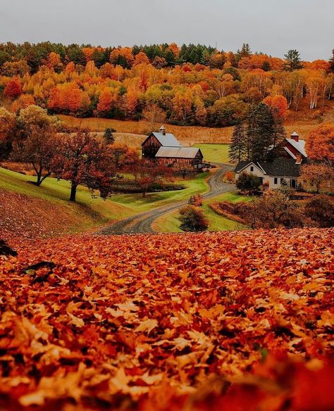 Another beautiful shot of this church in Sunapee NH 🧡🍂 PHOTO BY📸: @will_zimm_ | Instagram Woodstock Vermont, Vermont Fall, Emily Brontë, England Photography, Autumn And Halloween, New England Fall, Fall Beauty, Autumn Tree, Oversized Jumper