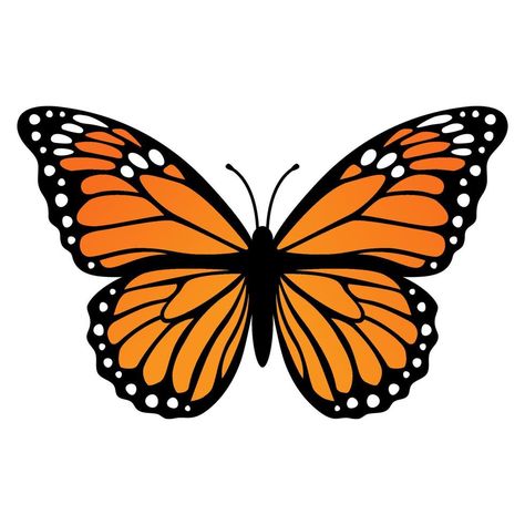 Borboleta Tattoo, Dia De Los Muertos Decorations Ideas, Butterfly Images, Butterfly Illustration, Butterfly Clip Art, Orange Butterfly, Butterfly Drawing, Easy Diy Art, Girl Stickers