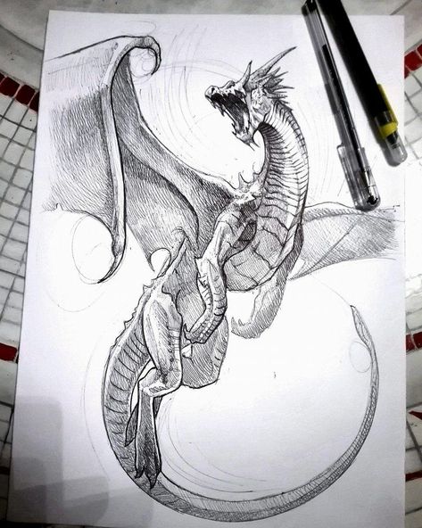 Realistic Dragon Drawing, Cool Dragon Drawings, Chinese Dragon Drawing, Easy Dragon Drawings, Wings Sketch, Dragon Poses, Fly Drawing, Realistic Dragon, Dragon Base