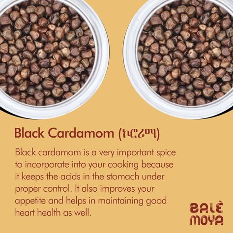 Black Cardamom, Cardamom Pods, Ethiopian Food, Food Facts, Stew, Dog Food Recipes, Food Animals, Improve Yourself, Herbs