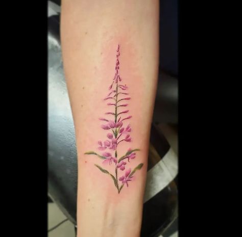 Fireweed Tattoo, Alaska Tattoo, Flower Tat, New Heart, Skin Art, Piercing Tattoo, Tattoos And Piercings, Small Tattoos, Cool Tattoos