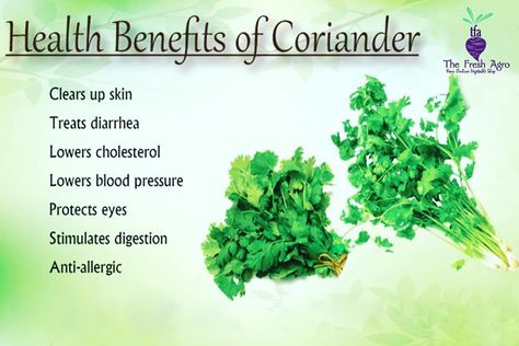 The Fresh Agro on Instagram: “Do you know...? The benefits of coriander. • • • • • #ahmedabad #thefreshagro #benefitsofcoriander #coriander  #ahmedabad #godrejgardencity…” Coriander Seeds Benefits, Benefits Of Coriander, Juice Benefits, Seeds Benefits, Coriander Seeds, Healing Herbs, Curry Leaves, Lower Blood Pressure, Lower Cholesterol