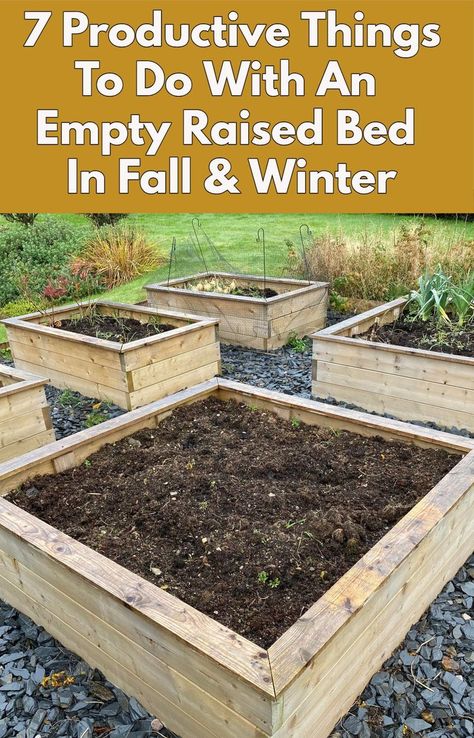 Don't let an empty raised bed go to waste this fall and winter. Here are seven productive things you can do instead - including some vegetables you can grow. Outdoor Raised Garden Beds, Raised Garden Beds Diy Vegetables, Balcony Gardens, Balcony Gardening, Tattoo Plant, Apartment Balcony Ideas, Small Balcony Garden, Vegetable Garden Diy, Diy Raised Garden