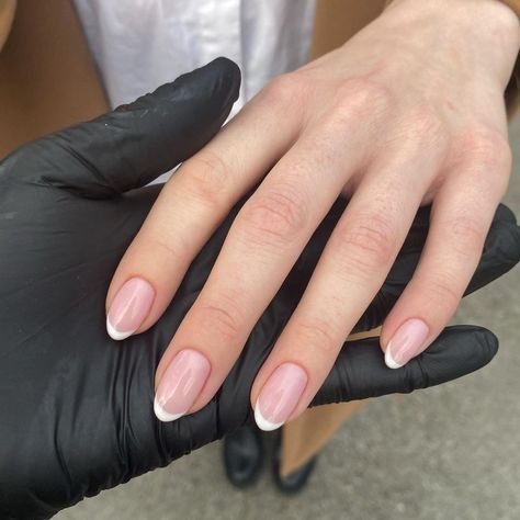 Charlotte Emily on Instagram: “Almond frenchies 🕊 #manicure #luxurymanicure #frenchnails #frenchmanicure #charlotteemilybeauty #jomalonelondon #navyprotools…” Almond Frenchies, Charlotte Emily, French Manicure, Almond Nails, French Nails, White Nails, Simple Nails, Short Nails, Spring Nails