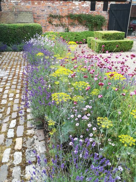 Renter Friendly Landscaping, Shrub Border Ideas, Cut Flower Garden Design, Flower Border Garden, Wild Flower Border, Cottage Garden Border, Vintage Decorating Ideas, Rustic Garden Ideas, Vintage Decorating