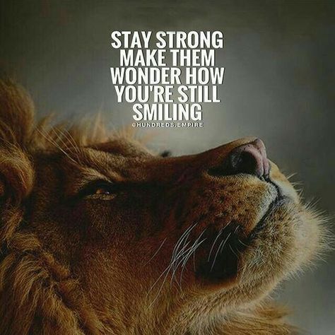 Motivations Quote, Sacred Knowledge, Watch Backgrounds, Ivy Geraniums, Entrepreneurship Motivation, Leo Quotes, Quotes Strength, Lion Quotes, Fear Quotes