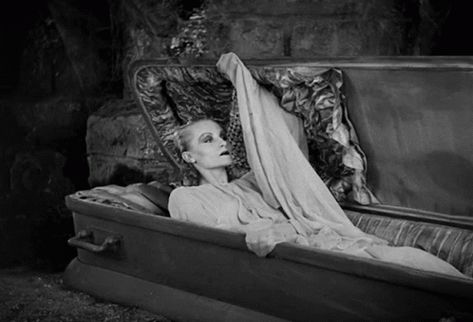 Wake Up Dracula GIF - Wake Up Dracula Coffin - Discover & Share GIFs Dracula Gif, Dracula 1931, Halloween Morning, Dracula's Brides, Female Monster, Horror Vintage, Female Vampire, Vampire Weekend, Bela Lugosi