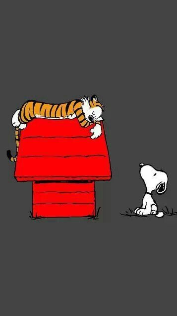 Calvin Und Hobbes, Woodstock Snoopy, Calvin And Hobbes Comics, Snoopy Funny, Tiger Illustration, Peanuts Cartoon, Peanuts Characters, Snoopy Wallpaper, Snoopy Quotes