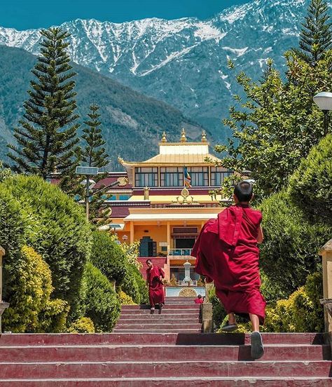 "Don't wait for someone to bring you flowers plant your own garden and decorate your own soul." . Gyuto Tantric Monastery Sidhbari Dharamshala | Himachal Pradesh . Photo By- @manish___sharma_ (Manish Sharma) #Follow . For Feature Hashtag Your Pictures/Videos With #InstaHimachal . Hills Are Vulnerable Say No To Plastic Snacks and Water Bottles. Save Himalayas Don't Litter on Mountains. Help Your Mother Nature Help Yourself . #Himachal #HimachalPradesh #LonelyPlanet #StoriesOfIndia #IndiaPhotoProj Dharamsala India, Dharamshala Himachal Pradesh, Solo Travelling, Dharamsala, India Travel Places, Tours And Travels, India Trip, Ultimate Road Trip, Folk Festival