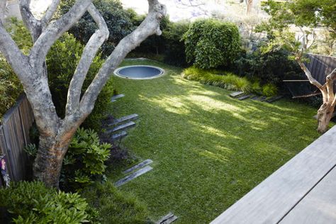 Pool And Trampoline Backyard, Urban Gardening Ideas, Derelict House, Garden At Home, Backyard Trampoline, Australian Landscape, Australian Garden, Landscape Designer, Specimen Trees