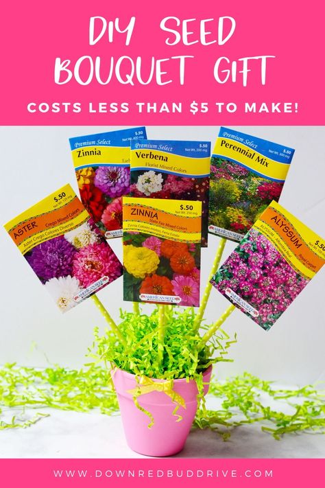 Creatively give flower seeds to someone with this DIY Seed Bouquet Gift idea!  Seed Bouquet | DIY Seed Bouquet | Seed Packet Gift | Flower Seed Gift | Seed Gift Idea | Non Floral Bouquet | Gift Bouquet | DIY Gift Bouquet | Down Redbud Drive #seedbouquet #flowerseedgift #seedgift #giftbouquet #diygiftidea Seed Packet Gift Ideas, Non Floral Bouquet, Diy Gift Bouquet, Seed Gifts, Flower Seed Gifts, Bouquet Diy Gift, Tricky Tray, Moms Life, Seeds Gifts