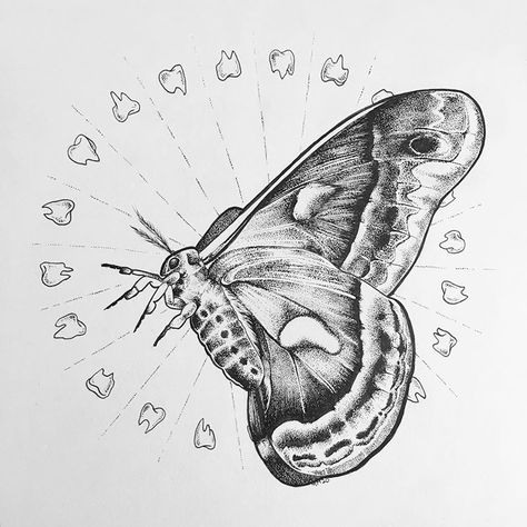 🦷 #art #artist #madisonmohlmanart #draw #drawing #pen #ink #penandink #stipple #stippling #stippled #moth #insect #teeth #tooth #macabre… Moth Drawing Side View, Moth Drawing Reference, Moth Sketches, Moth Sketch, Insect Drawings, Animals Sketch, Moth Insect, Side View Drawing, Moth Drawing