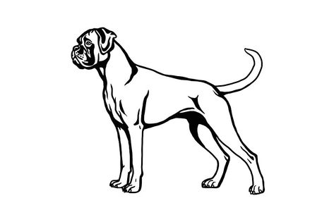 Boxer Dog Tattoo, Boxer Dogs Art, Favorite Tattoos, Dog Vector, Dog Tattoo, Dog Drawing, Boxer Dogs, Digital Clip Art, Dog Design