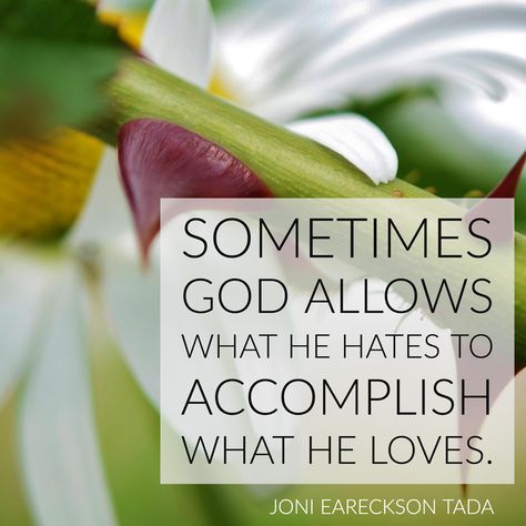 Sometimes God allows what He hates to accomplish what He loves. - Joni Eareckson Tada Joni Eareckson Tada Quotes, Joni Eareckson Tada, Encouragement Quotes Christian, Narrow Road, Tony Evans, Word Of Faith, How He Loves Us, Quotes God, Inspirational Sayings