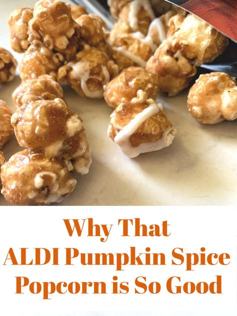 They did it again! The ALDI Pumpkin Spice Popcorn is in stores, and causing trouble. See why you need to add it to your cart today. Cheesecake Popcorn, Carmel Cheesecake, Pumpkin Popcorn, Popcorn Ideas, Spice Cheesecake, Pumpkin Spice Treats, Spiced Popcorn, Pumpkin Spice Cheesecake, How To Make Caramel