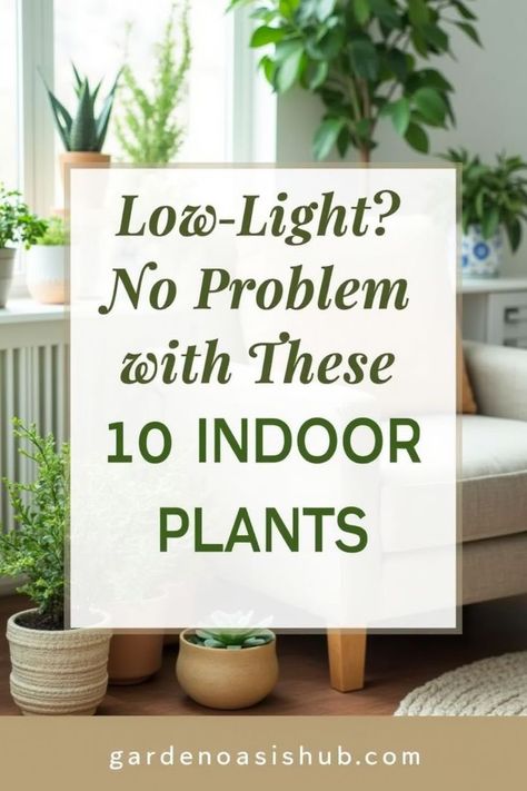 Boost your productivity and brighten your workspace with the best indoor plants for your office. These plants not only look beautiful but also improve air quality and create a calming environment. Indoor Plants For Low Light, Green Home Office, Plants For Low Light, Green Home Offices, Low Light Plants, Best Indoor Plants, Green Home, Dark Corners, Light And Space