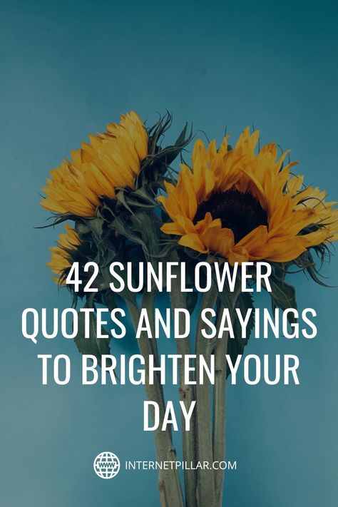 Sun Flower Quotes Inspirational, Sunflower Inspiration Quotes, Sunflower Tattoo Quotes, Be A Sunflower In A Field Of Roses Quote, Sayings About Sunflowers, Brighten My Day Quotes, Sunflower Sayings Quote Short, Sunflowers Quotes Inspiration Beautiful, Sunflowers Quotes Inspiration Life