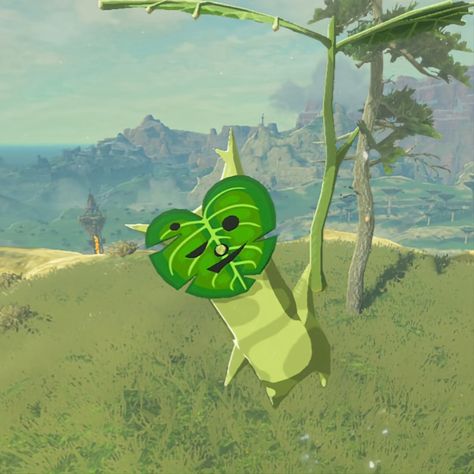 Zelda Breath Of The Wild Korok, Korok Wallpaper Iphone, Korok Costume, Zelda Gameplay, Korok Cosplay, Shigeru Miyamoto, You Found Me, Zelda Breath Of The Wild, Merch Ideas