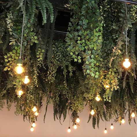 Plant Ceiling, Colour Architecture, Decoration Restaurant, Grand Place, Interior Design School, Summer Party, Ceiling, Architecture, Plants