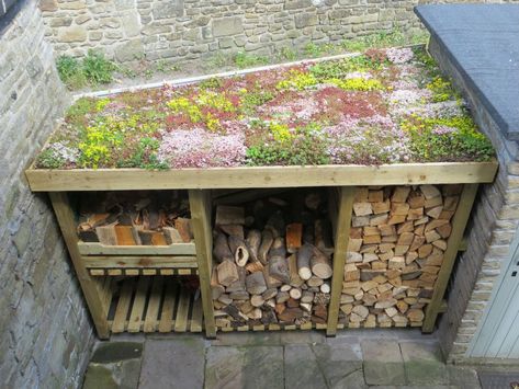 How fabulous is this roof?!  Our customers contacted us for sedum mats to roof their new log store themselves and the beautiful photos show the fantastic job th Diy Log Store, Outdoor Firewood Storage, Green Roof Garden, Sedum Roof, Garden Cabins, Firewood Shed, Log Store, Living Roofs, Wood Store