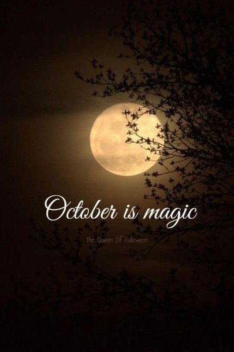 November Wallpaper Iphone, November Wallpaper, Zucca Halloween, Autumn Magic, Autumn Quotes, Autumn Scenery, The Full Moon, Autumn Beauty, Fall Pictures