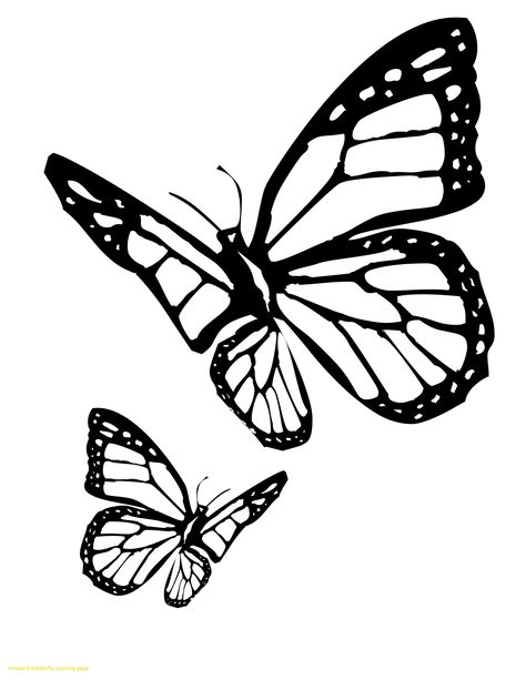 Butterfly Coloring Page Monarch Butterfly Coloring Page Fresh Monarch Butterfly Life Cycle Butterfly Pictures To Color, Butterfly Drawing Outline, Monarch Butterfly Tattoo, Butterfly Coloring Pages, Butterfly Tattoo Stencil, Butterfly Outline, Butterfly Coloring, Butterfly Stencil, Butterfly Printable